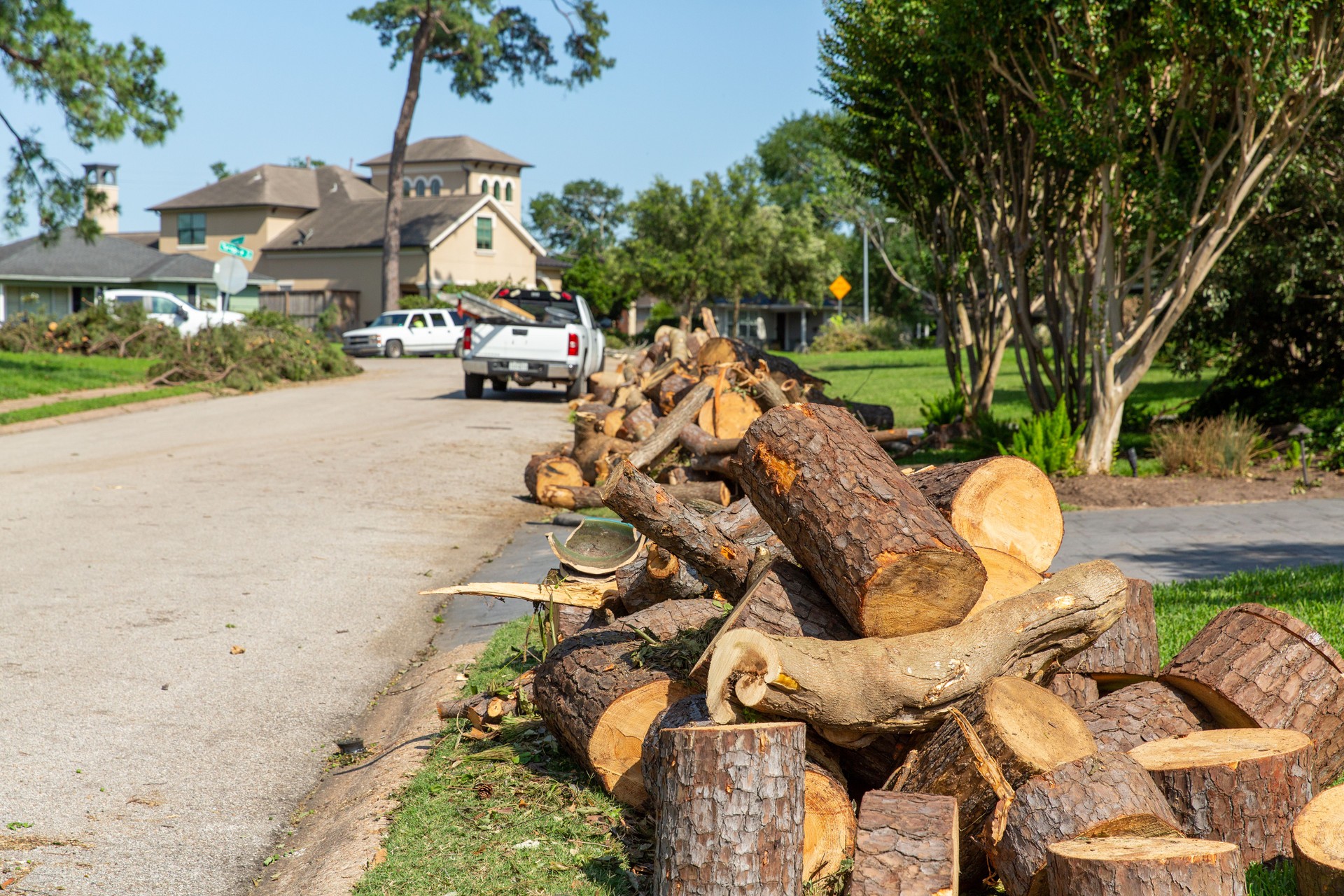Fallen tree after a storm blocking sidewalk