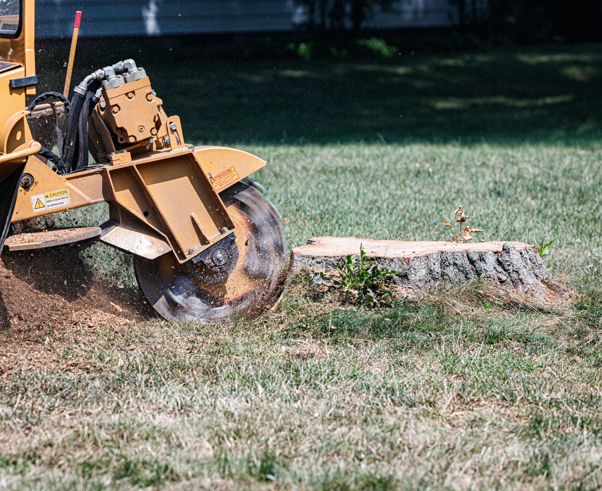 Close-Up of a  Commercial Stump Grinder Grinding a Tree Stump